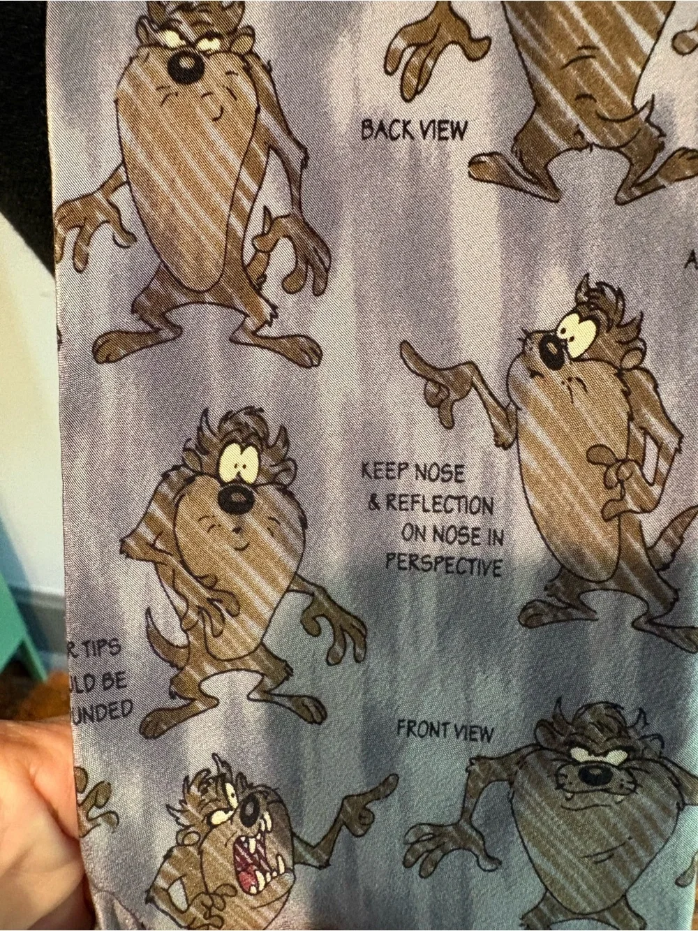 Vintage Warner Bros Silk Taz Tasmanian Devil Print Neck Tie. 1994